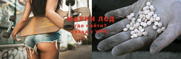 гашик Туринск