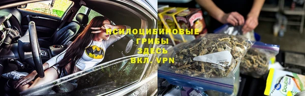 ПСИЛОЦИБИНОВЫЕ ГРИБЫ Щигры