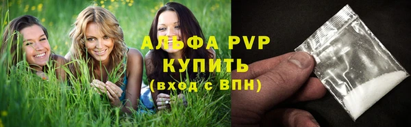 мяу мяу мука Тутаев