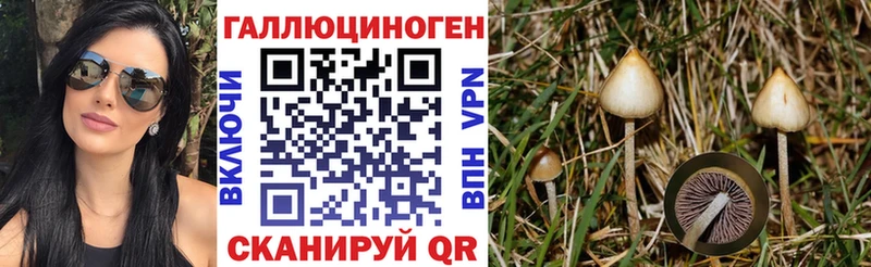 даркнет сайт  Комсомольск-на-Амуре  Псилоцибиновые грибы Psilocybe 