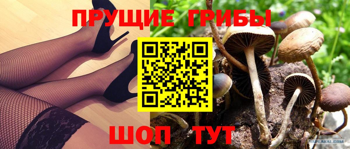 Галлюциногенные грибы MAGIC MUSHROOMS Комсомольск-на-Амуре