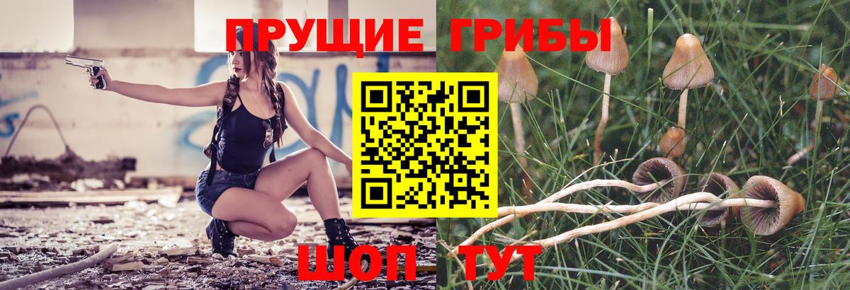 Галлюциногенные грибы Magic Shrooms  наркошоп  Комсомольск-на-Амуре  Вход с VPN 